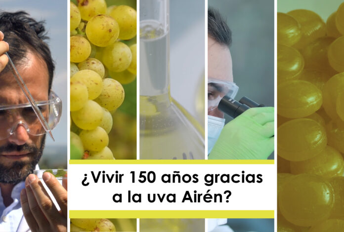 Vivir 150 años gracias a la uva Airén