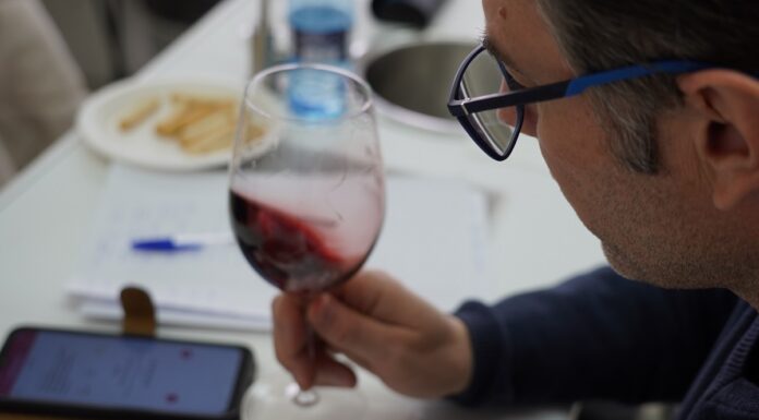 DO La Mancha arranca su XXXIX Concurso a la Calidad de sus vinos embotellados. El comité de cata ya está evaluando las primeras muestras entrantes