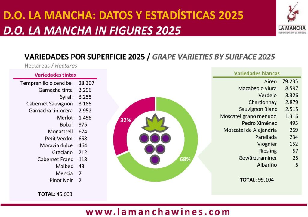 VARIEDADES POR SUPERFICIE 2025