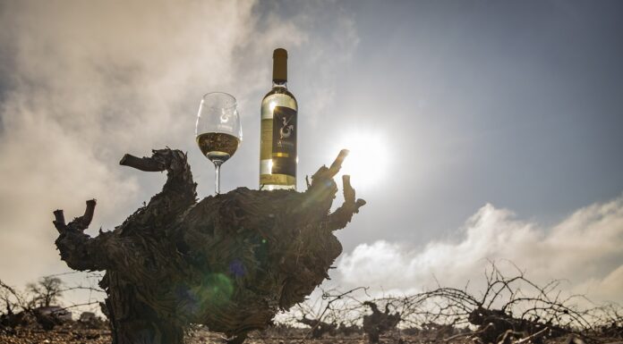 La Añada 2025 calificada como Excelente