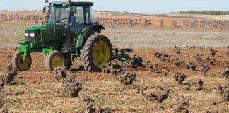 El laboreo se realiza a finales de invierno en la viña