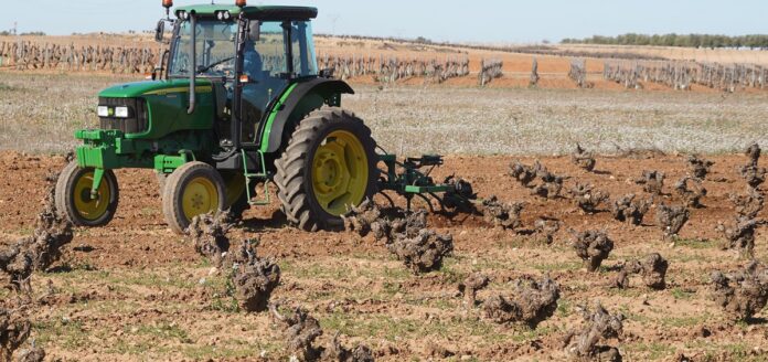 El laboreo se realiza a finales de invierno en la viña