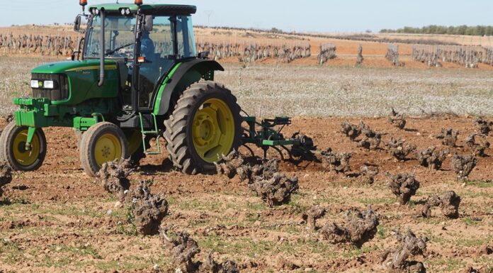 El laboreo se realiza a finales de invierno en la viña