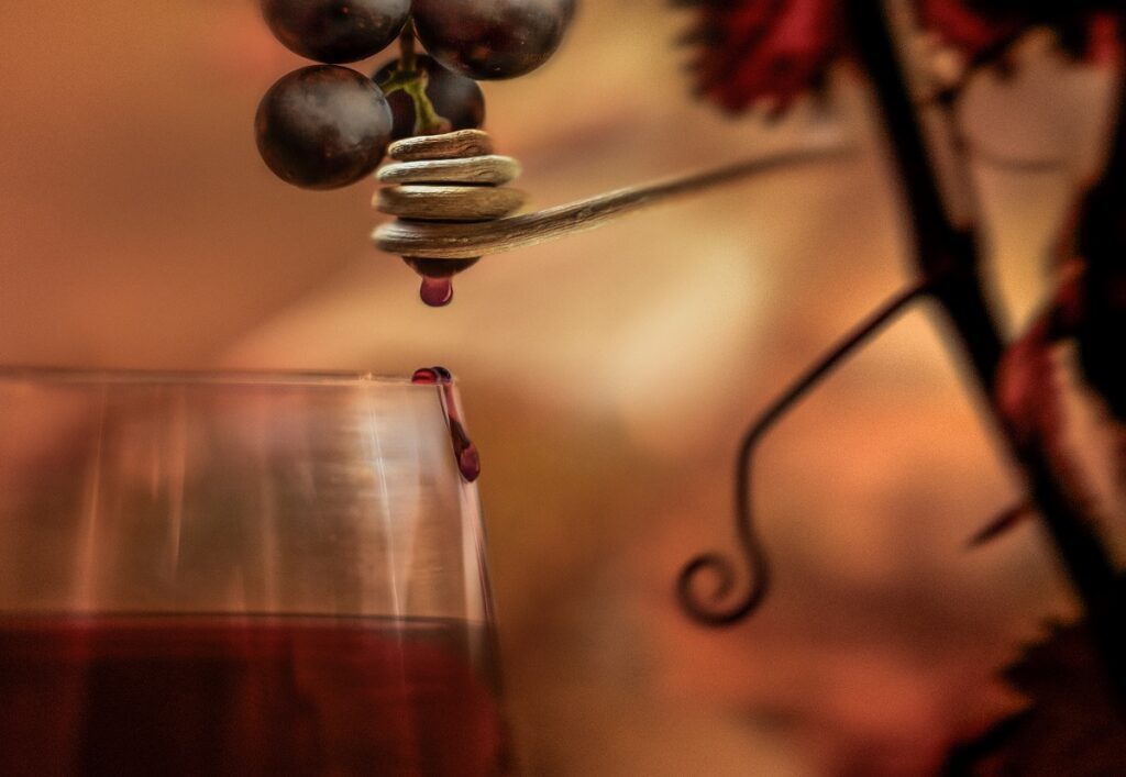 La esencia de la uva, de José R. Luna de La Ossa. Imagen premiada en 2025