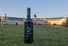 Los vinos DO La Mancha se promocionan en Alemania. Los vinos DO La Mancha en Karlsruhe