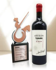 Premio Tinto RESERVA Bronce - TERRUÑO Tempranillo-Syrah-Cabernet Franc 2020