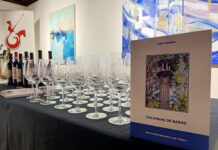 Pedro Carreño publica el libro con el apoyo de la Diputación de Toledo