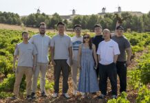 Misión inversa de profesionales de China se interesa por La Mancha. Profesionales chinos en un viñedo manchego