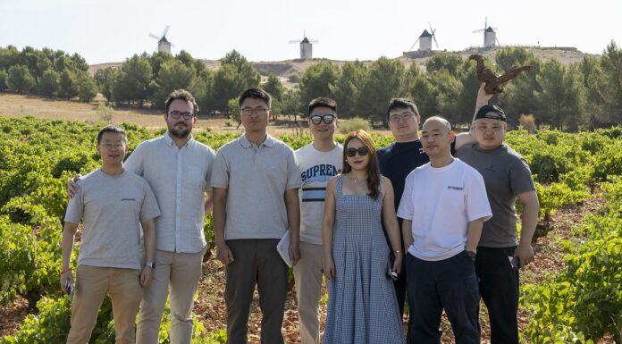 Profesionales chinos en un viñedo manchego