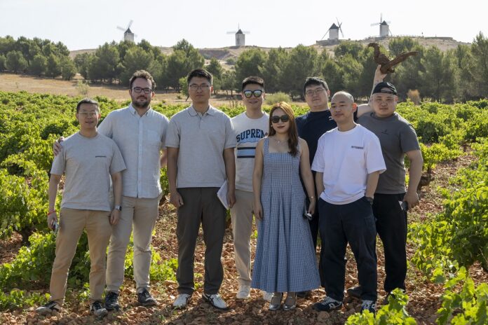 Profesionales chinos en un viñedo manchego