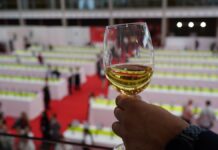 Los vinos DO La Mancha presentes en Fenavin match 2026 Un blanco frente a la Galería del vino en Fanvin Match