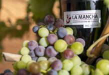 El envero marca el periodo clave de maduración de la uva